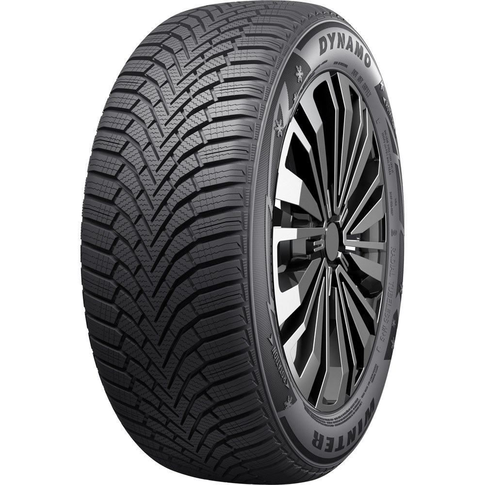 DYNAMO WINTER 175/65 R13